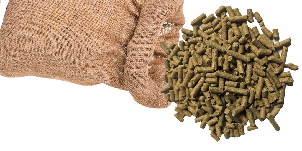 Choosing the Best Treats for Horses Integrity Horse Feed