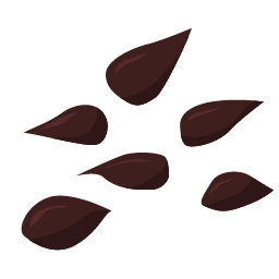 flax seed icon