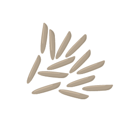 rice bran icon