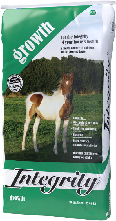 growth horse feed