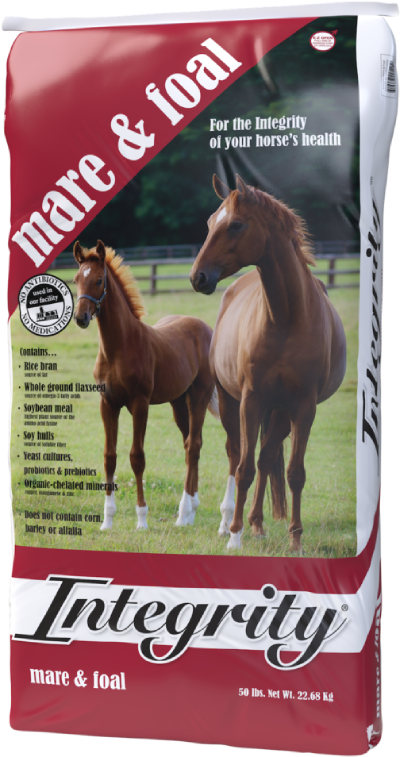 mare and foal horse feed