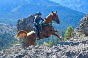 100-Mile Tevis Cup: One of the Top Ten Endurance Competitions in the World!  - EasyCare Hoof Boot News