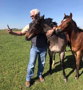 Dr B and horse selfie