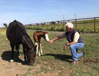 Dr B with horse and foal