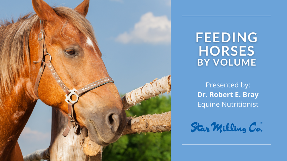 Protecting Horses From Obesity Integrity Horse Feed