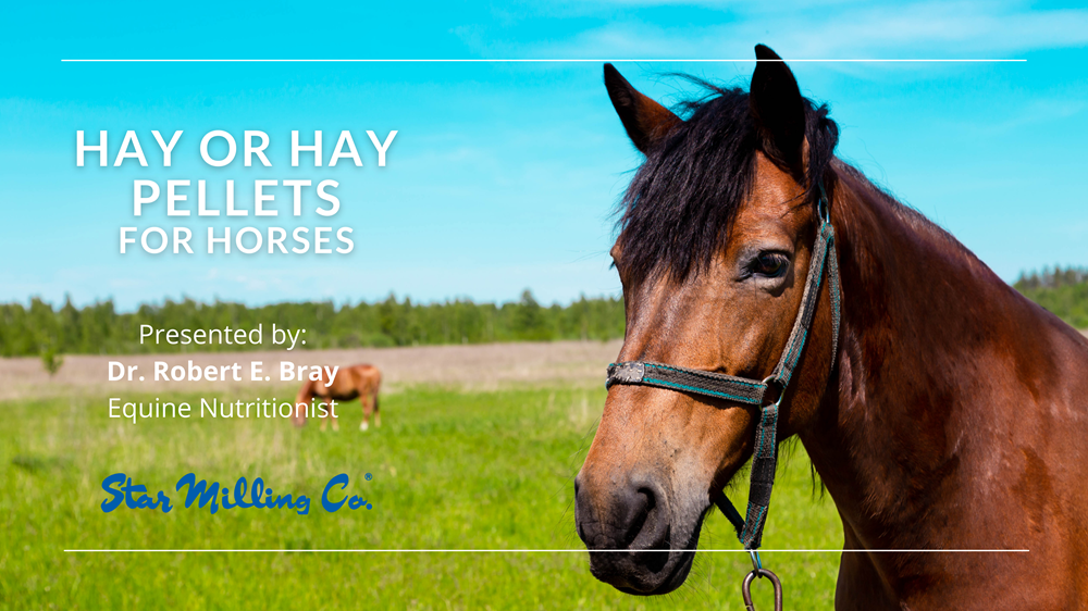 Differences Hay Pellets and Baled Hay Integrity Horse Feed