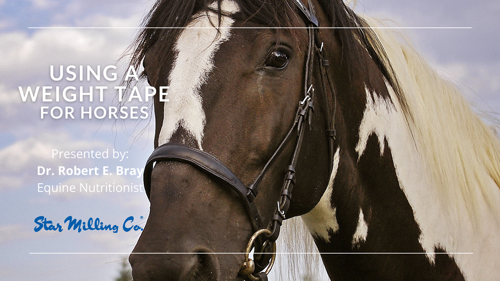 Estimating a Horse's Body Weight Integrity Horse Feed